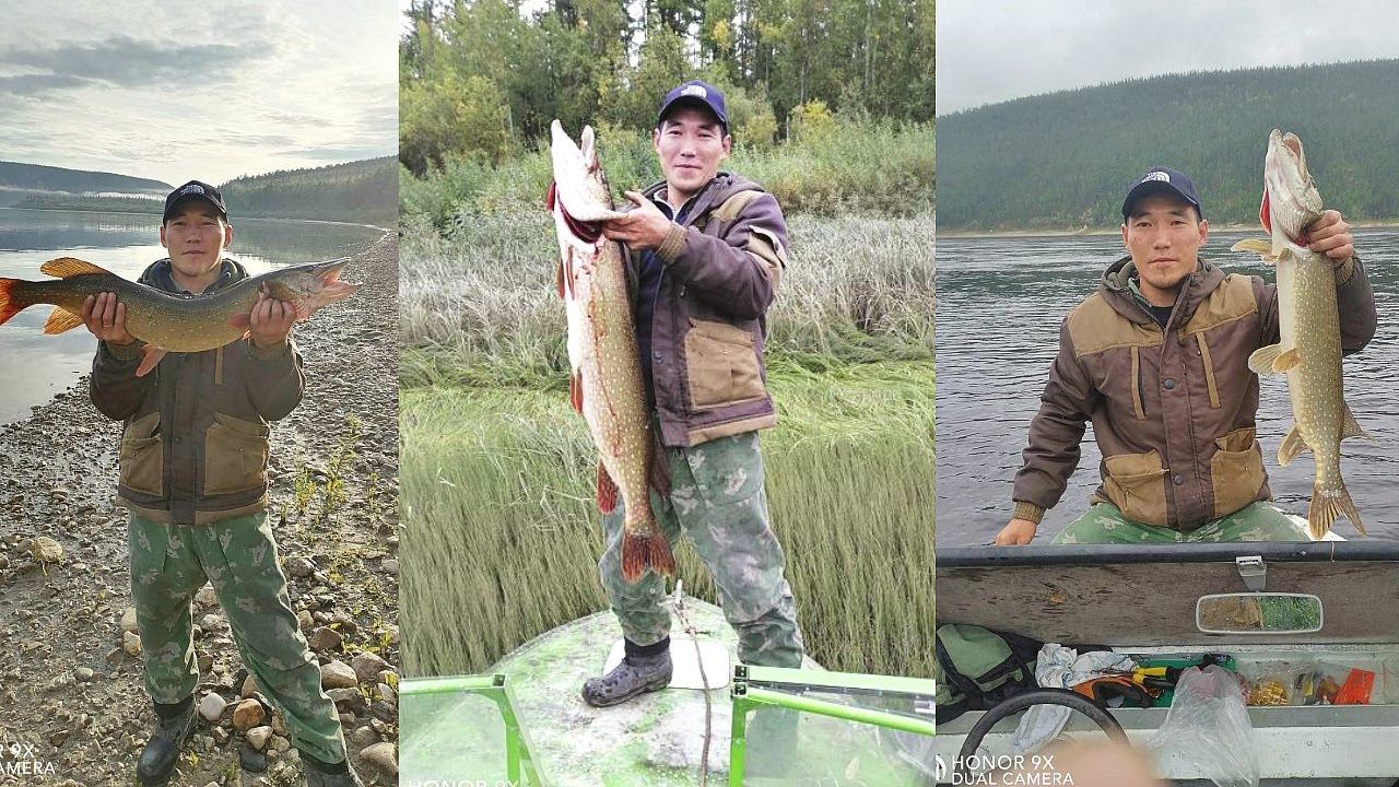 Секреты ловли щуки на водохранилищах поздней осенью. Как ловить щуку в октябре ноябре на водоемах? смотреть онлайн