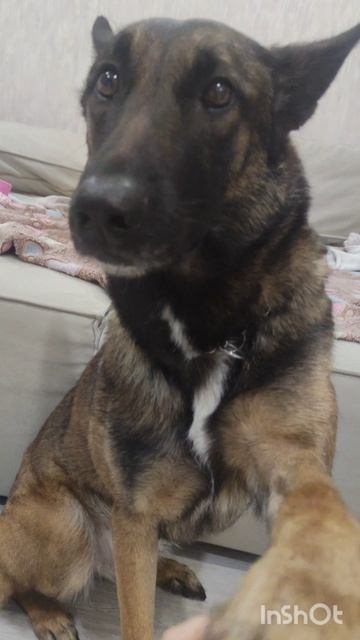 поставь руку😺🤝