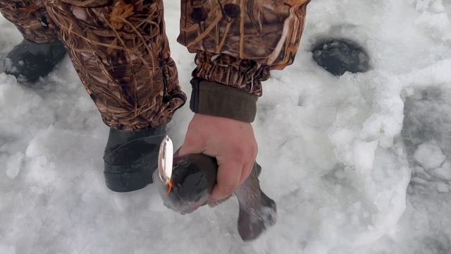 copy_6418A71E-1F10-498E-8DAD-0841A1B4F1DD смотреть онлайн