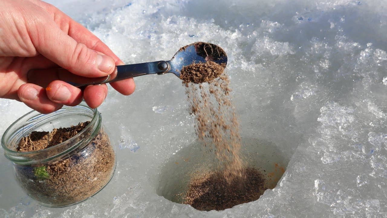 Лучшая подкормка для белой рыбы в ноябре-декабре. Наловили в подмосковье 3 ведра смотреть онлайн