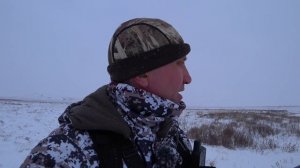 Охота на зайца - Как в тире