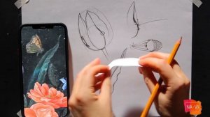 СЕКРЕТ ХУДОЖНИКА. Надежда Ильина. Принципы построения изгибов лепестков