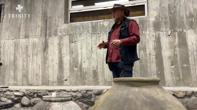 Вина Тринити: Воскеат предков смотреть онлайн