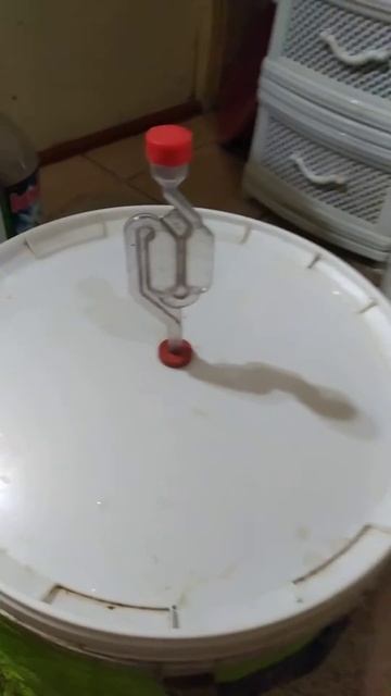 24 червня 2022 ЗАСИПАЮ КОДЗІ ДЛЯ ПОДАЛЬШОГО БРОДІННЯ М? смотреть онлайн