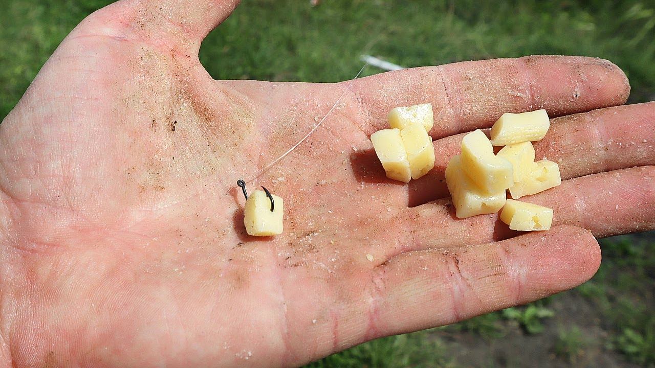 Вот она нашумевшая молочная насадка - убийца крупного карася карпа и линя летом. Рыбалка на сыр. смотреть онлайн