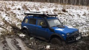 Таежные Приключения