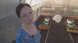 Видео привет с 6 соток 11 апреля 2024 года