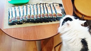 Скоро на море на поезде/Покупки для Снежи/Новогодние подарки