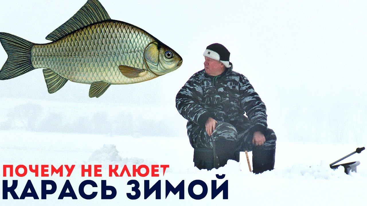 Как заставить карася клевать зимой? Клюет ли карась зимой? Секрет ловли карася зимой. смотреть онлайн