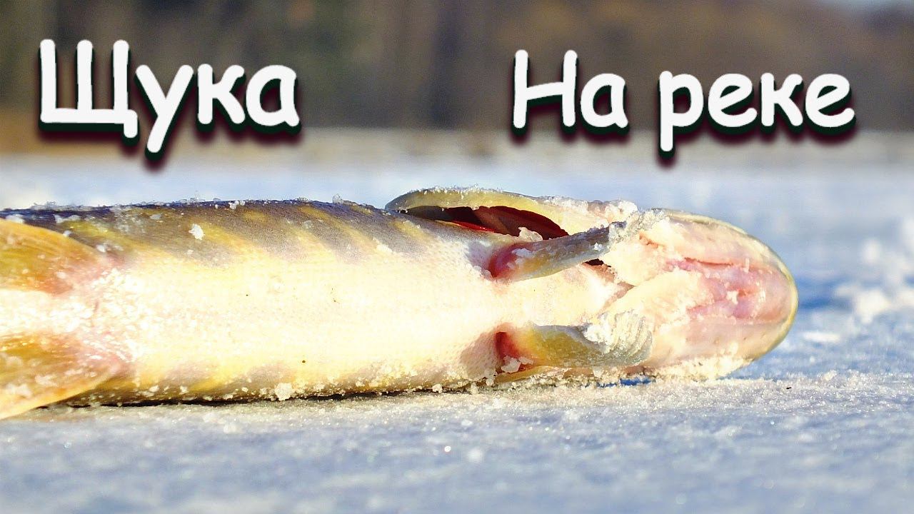 Дед рыбак научил как находить щуку зимой на любой реке! Места стоянок щуки на реке зимой смотреть онлайн