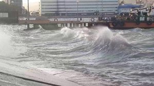 Погода в Новороссийске