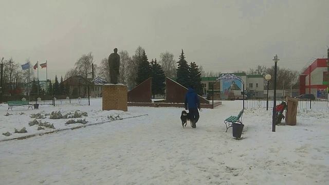 УПРАВЛЯЕМАЯ ГОРОДСКАЯ СОБАКА