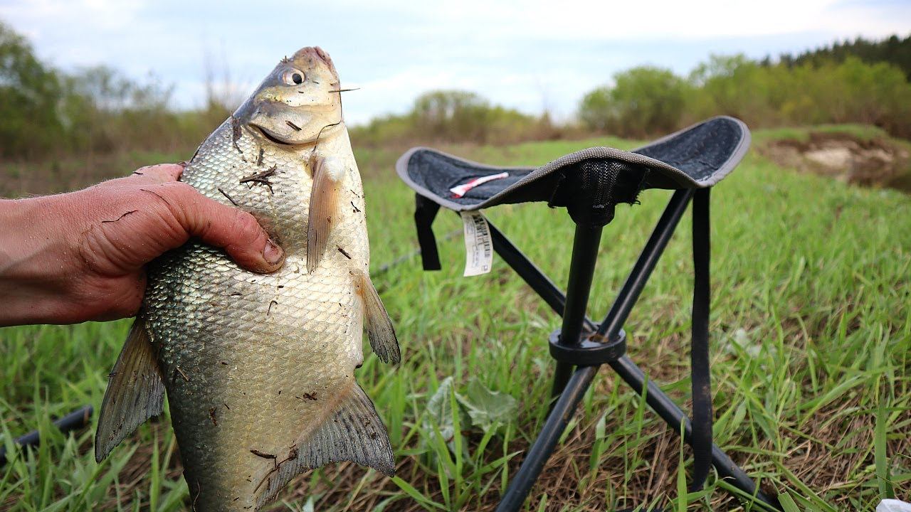 Особенности ловли леща в октябре. Где стоит и на что клюет октябрьский лещ? смотреть онлайн