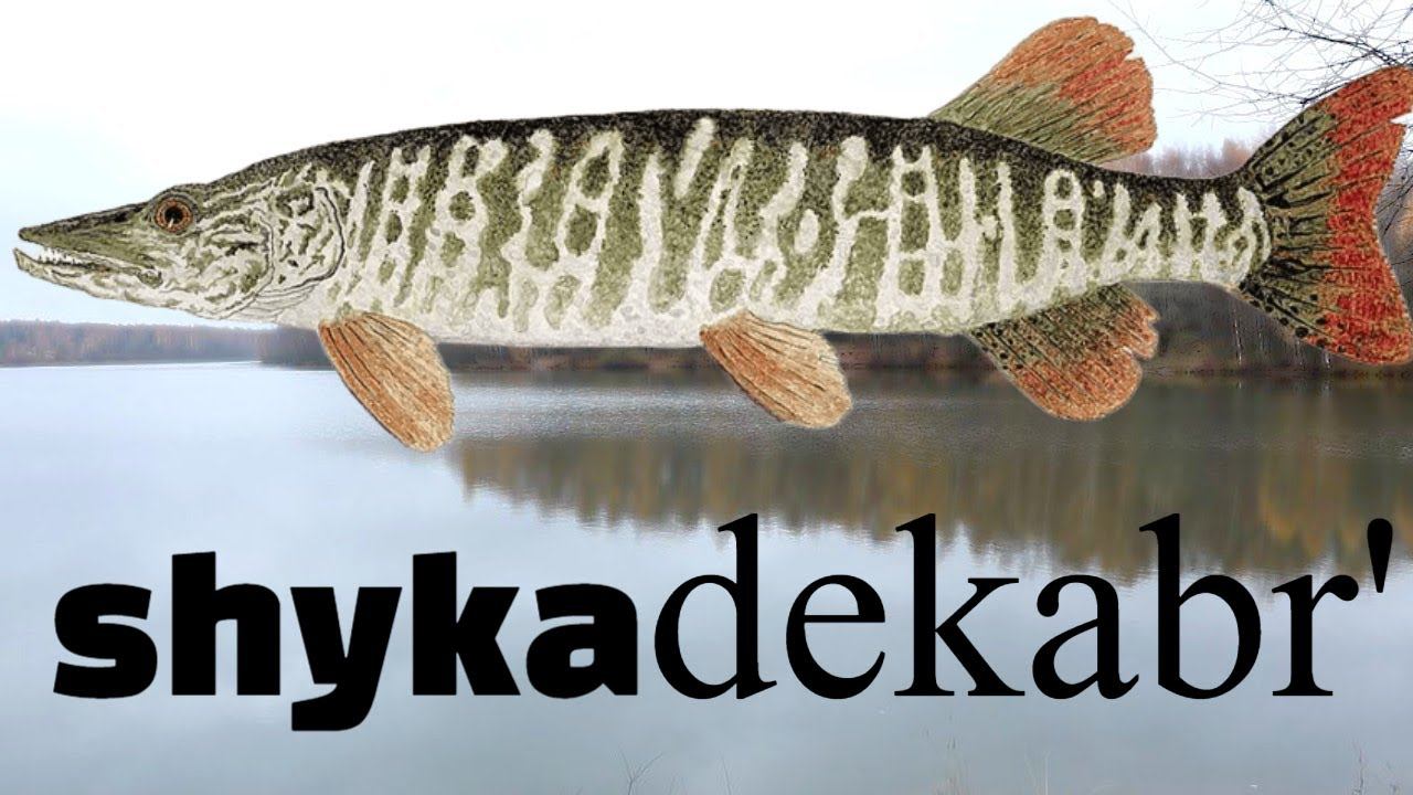 Щука в декабре на спиннинг! В этом месяце клюет будь здоров, если пользоваться этими советами! смотреть онлайн