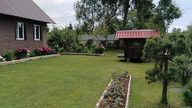 Грозовые тучи и мои пионы 2025 смотреть онлайн