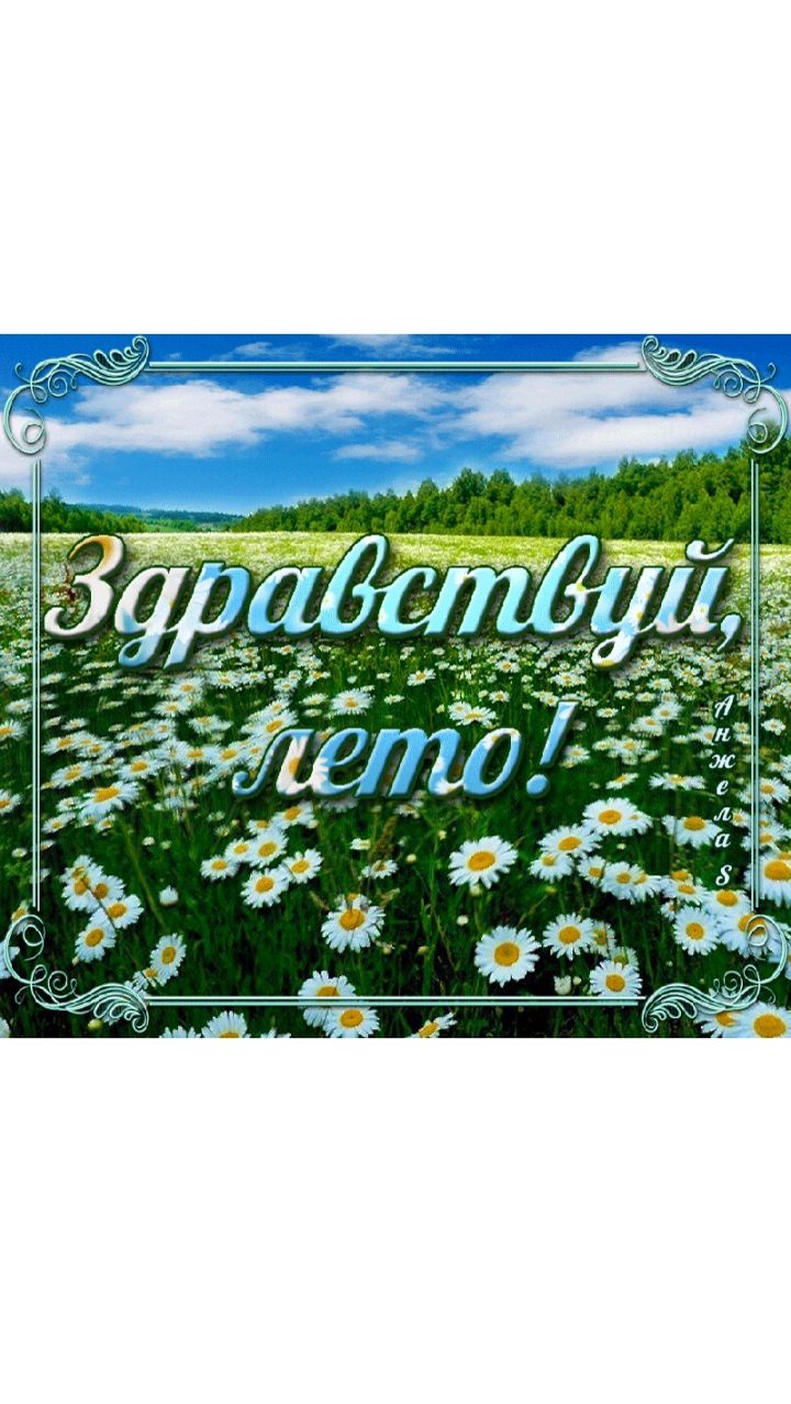 Принц на белом коне смотреть онлайн