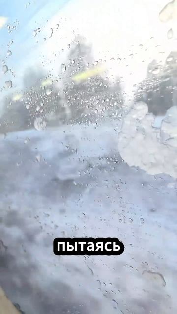 А вы любите возвращаться домой? смотреть онлайн