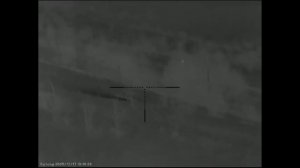 Александр продолжает борьбу с шакалами в Ростовских степях и добыл юбилейного сотого шакала