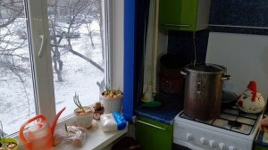 Курочка горячего копчения в многоэтажке.