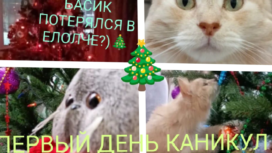 ПЕРВЫЙ ДЕНЬ НОВОГОДНИХ КАНИКУЛ С РЕБЯТАМИ🎀❄️ НАШ ДЕНЬ У БАБУШКИ С КОТОМ 🐱