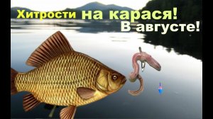Карась в конце лета как ловить?