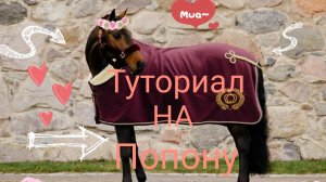 Хендмейд на попону! Лошади шляйх видео