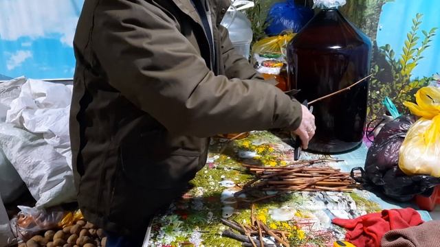 Прививка Черенка Винограда и т.д и т.п. Аладастури в Кр? смотреть онлайн