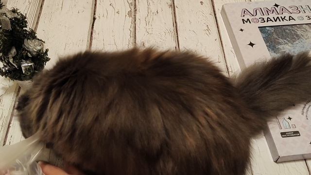 Наконец выпал снег! Распаковочка подарка от Людмилы. смотреть онлайн