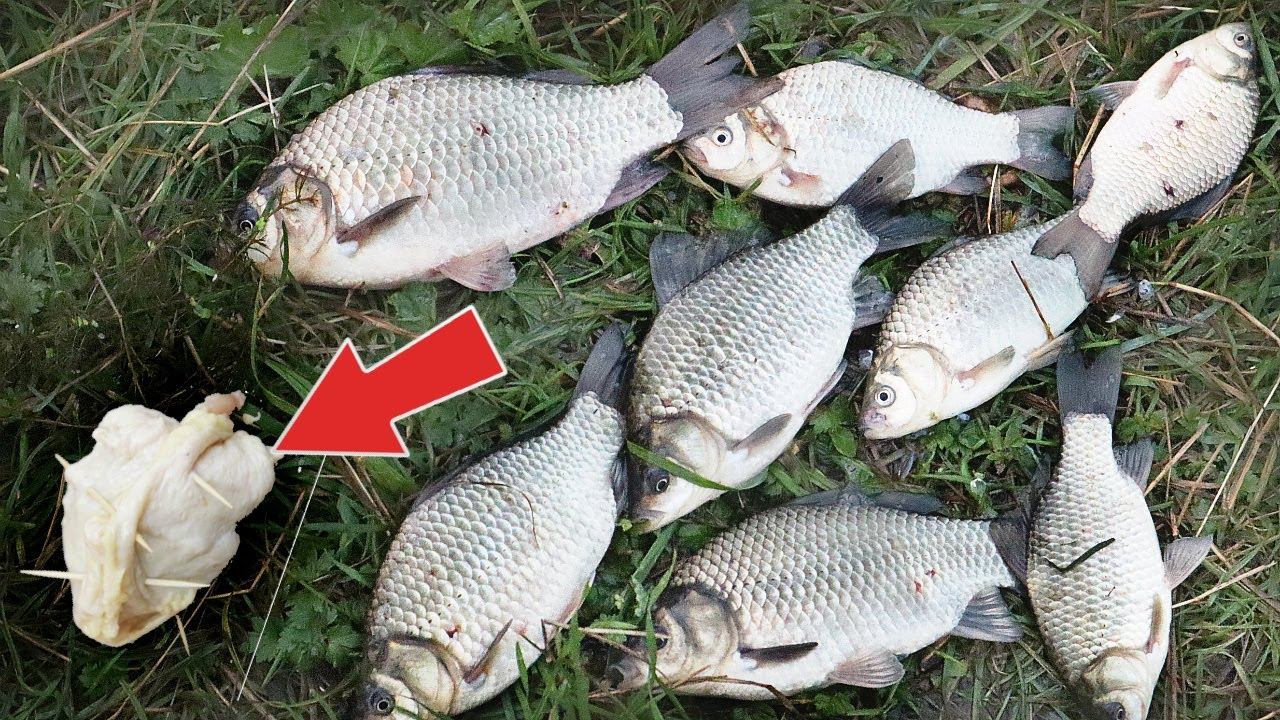 Аромат который исходит от этого кусочка сводит рыб с ума+красивая игра в воде! Рыбалка на кожу куры. смотреть онлайн