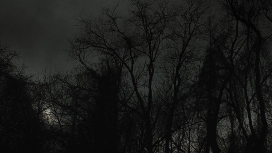 Ливнул с крайма и свалил в госку стримец GTA 5rp ALTA