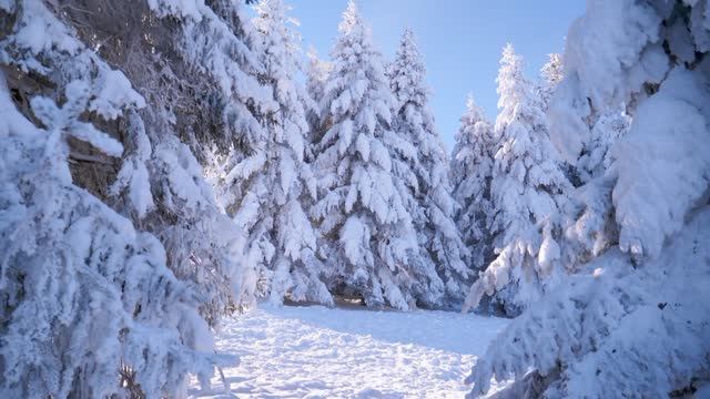 Декабрьский вальс смотреть онлайн