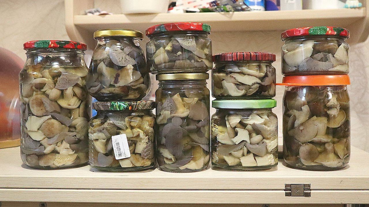 Как правильно солить рядовки на зиму? Самый простой и вкусный рецепт без уксуса. смотреть онлайн