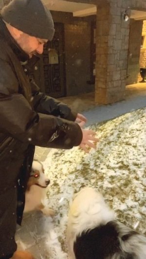 SEREBRO - Снег идет