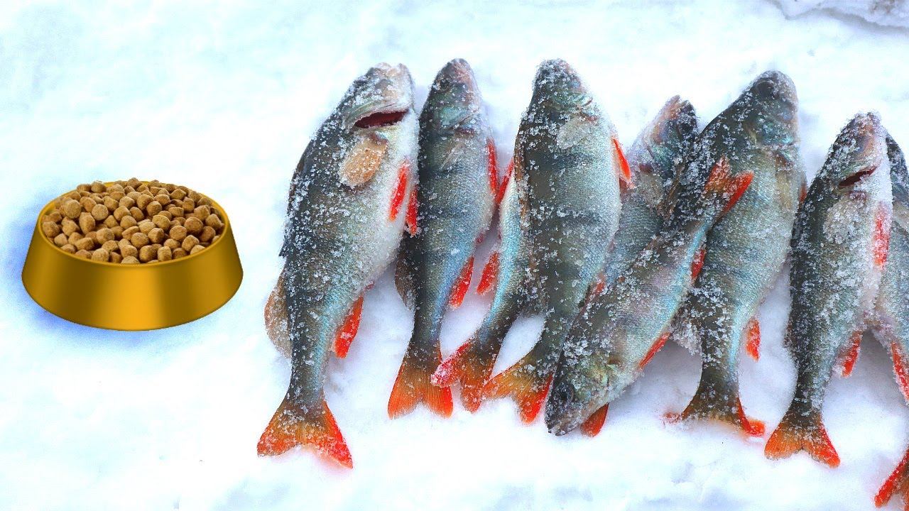 Эта прикормка всегда работает зимой! Кидаю в лунку через 5 минут рыбы тьма под ногами. смотреть онлайн