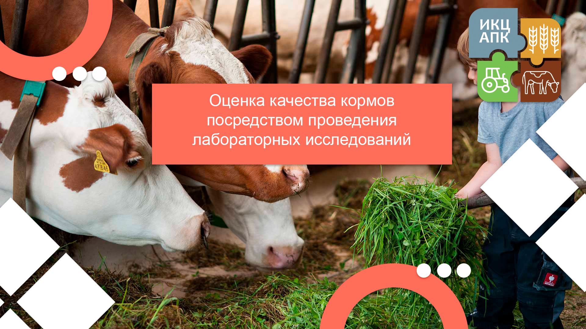 Запись семинара от 25 декабря 2025 года