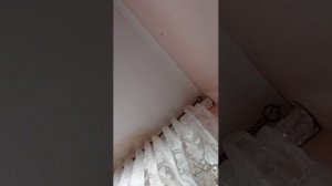 😶🌫️😶🌫️😶🌫️😶🌫️😶🌫️😶🌫️😶🌫️😶🌫️😶🌫️😶🌫️😶🌫️😶🌫️😶🌫️😶🌫️😶🌫️😶🌫️😶