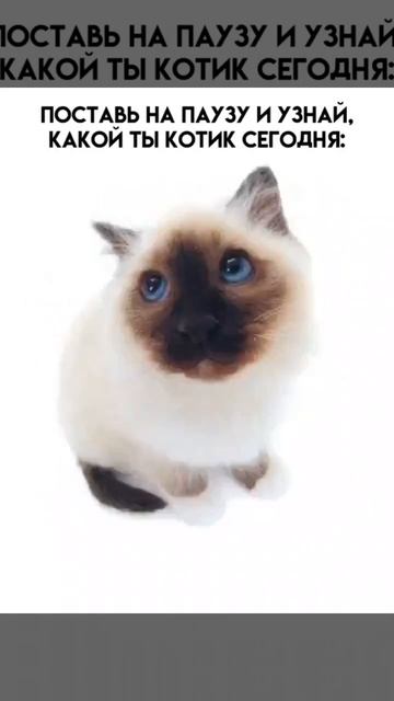🖤 смотреть онлайн