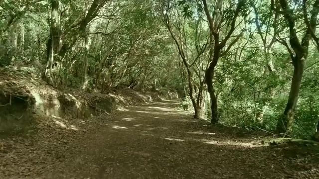 1000002125.mp4 смотреть онлайн