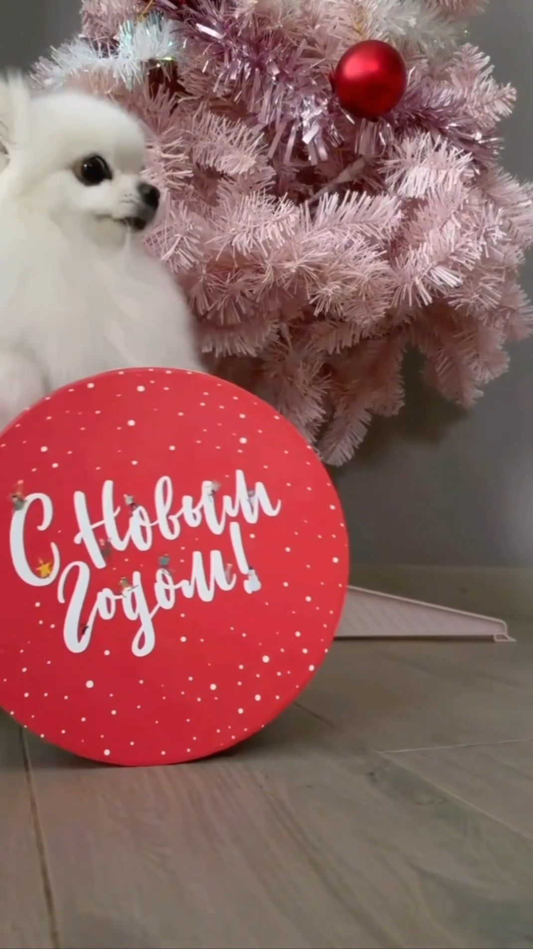 А Вы готовы к встрече Нового Года? смотреть онлайн