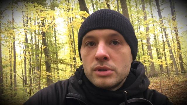 Мухомор зовет в трип! Как же это увидеть и понять? #мухо смотреть онлайн