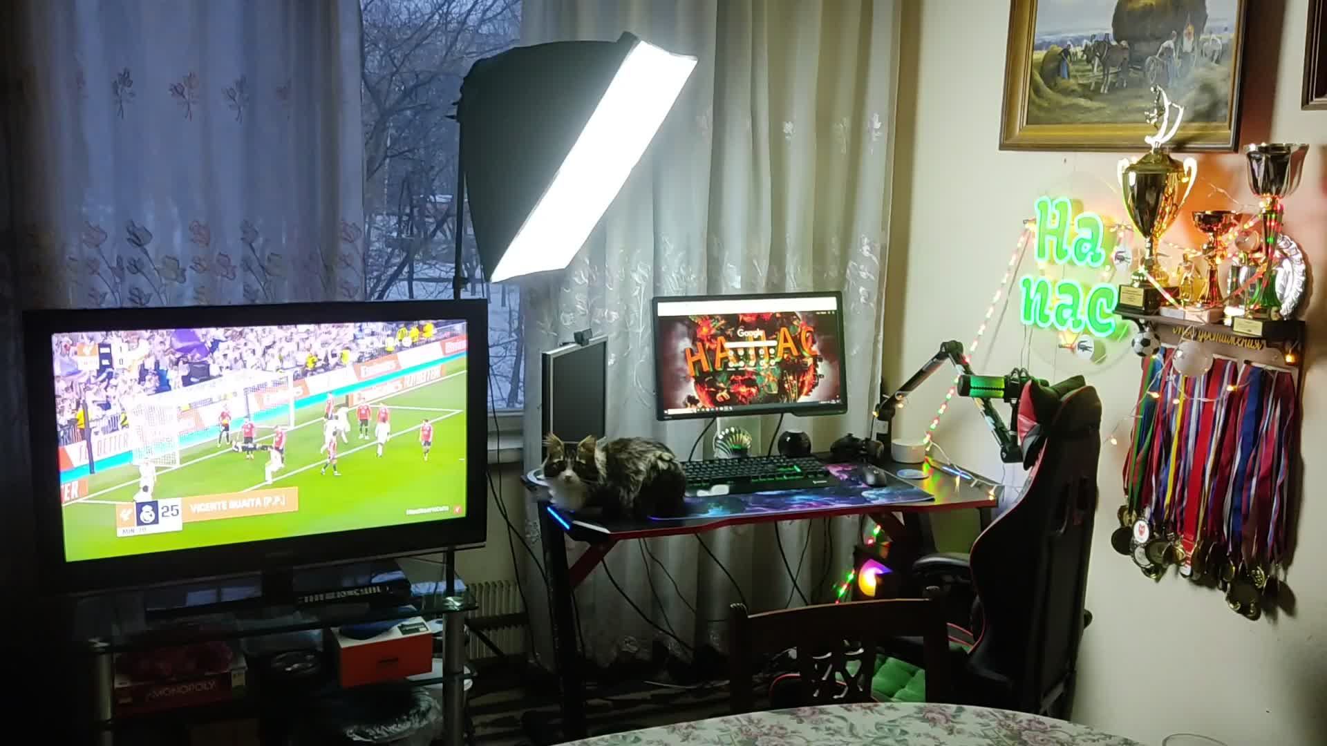 Пятничный стрим | ActiveMatter