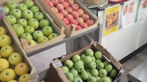 Предновогодние поездки. Кубанские яблоки. Жизнь станичная на пенсии.