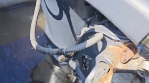 Yamaha F40 (1028897)