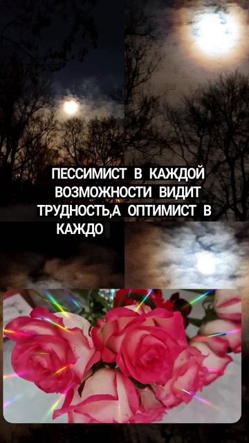 Про пессимиста смотреть онлайн