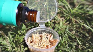 2 капли в опарыша и полный садок рыбы вам обеспечен.  Чем ароматизировать опарыша перед рыбалкой?