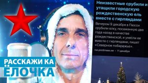 Расскажи ка ёлочка где была...