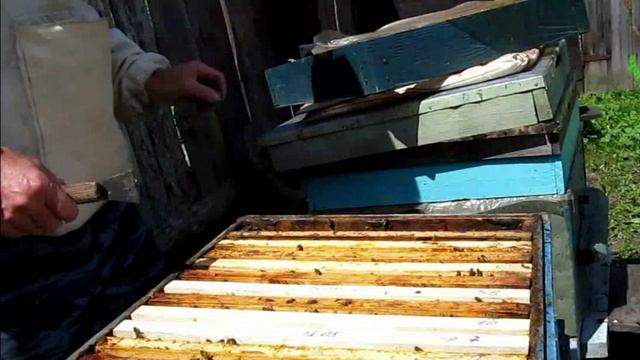 Развитие слабого отводка месяц спустя. Часть 5 смотреть онлайн