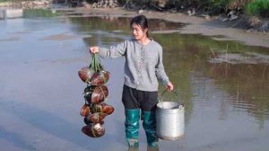 Сливаем воду из пруда! Ловим ракушки, вьюнов, раков и много рыбы!