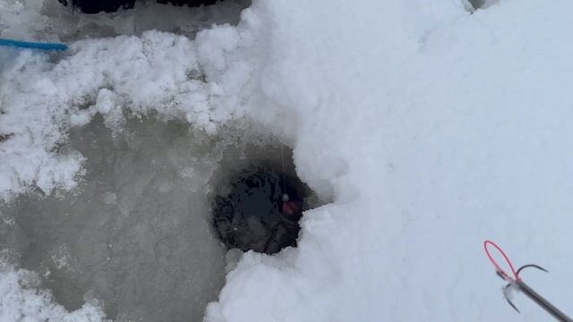 Поимка форели смотреть онлайн