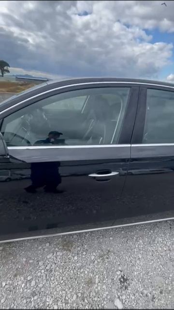 Audi A8 WAUZZZ4H2CN026525